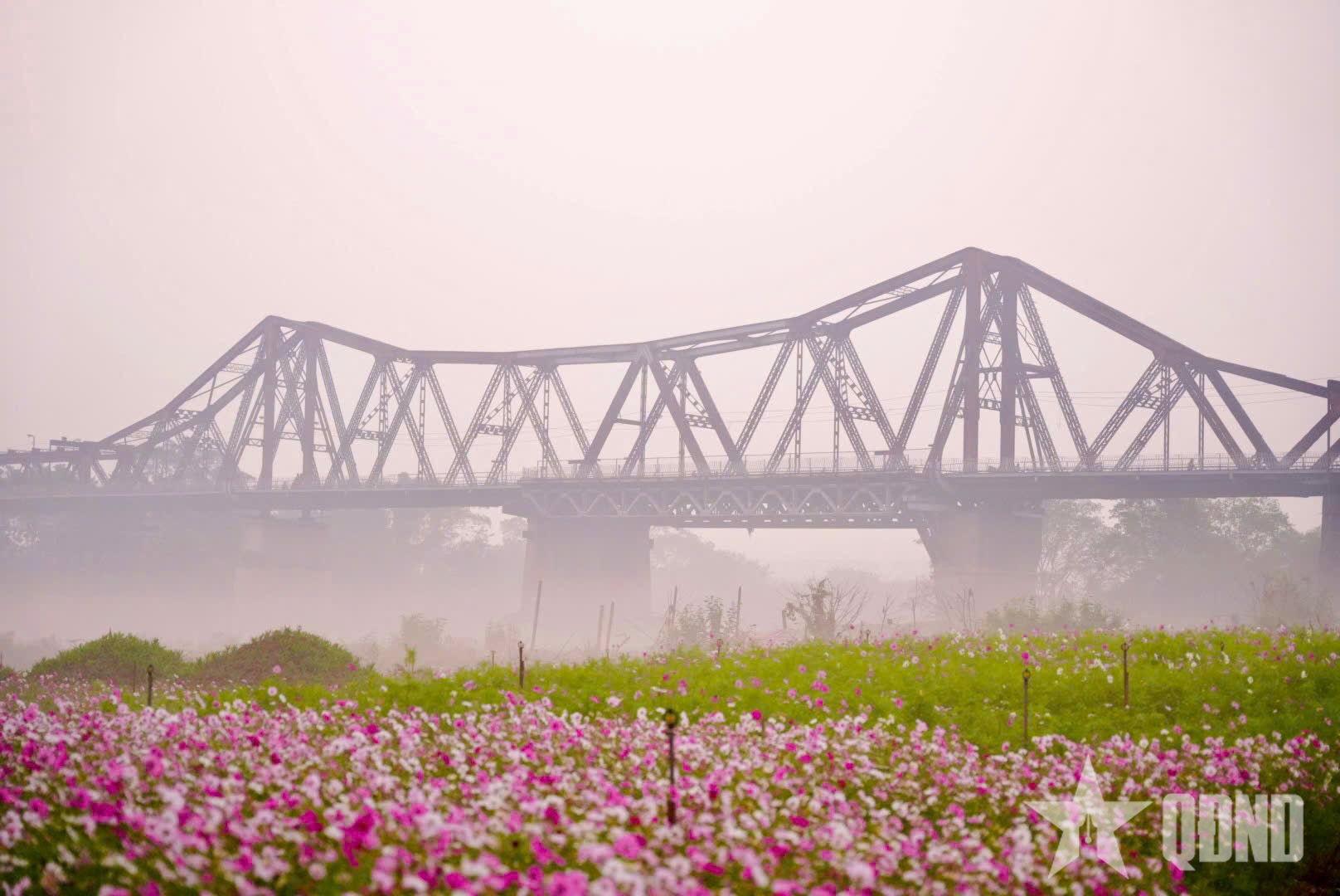 Hà Nội: Đón ánh bình minh rực rỡ tại bến hoa Phúc Xá 